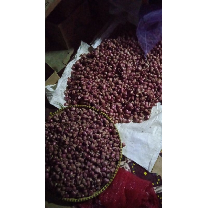 

bawang merah ukuran sedang murah