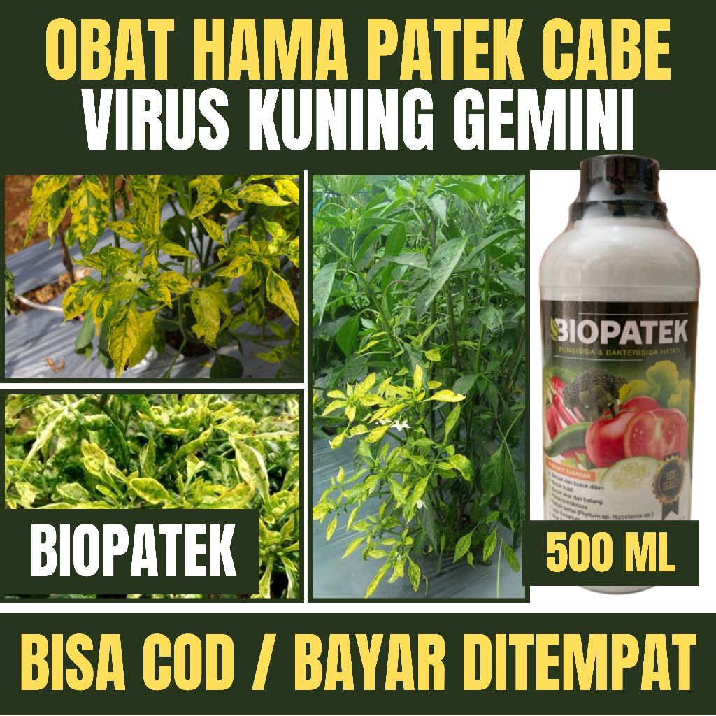 Obat Semprot Patek Cabe/Cabai 500 ML- Obat Semprot BIOPATEK Cabe/Cabai - Obat NOPATEK Cabe 100% ORI