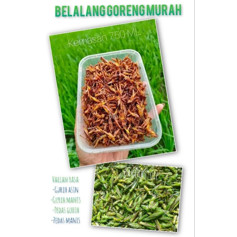 

BELALANG GORENG Box 750.ML walang kecil belalang sawah murah harga grosir