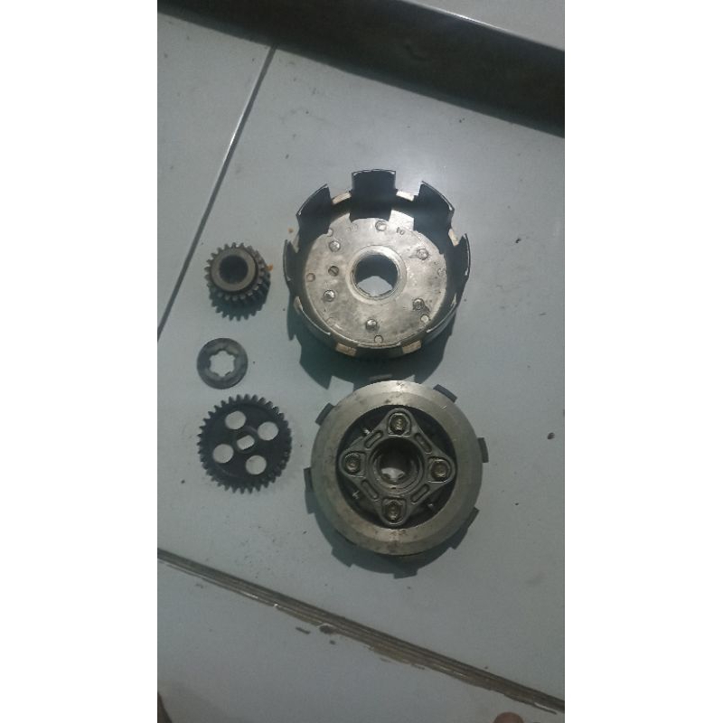 draf gir tiger ori copotan pnp