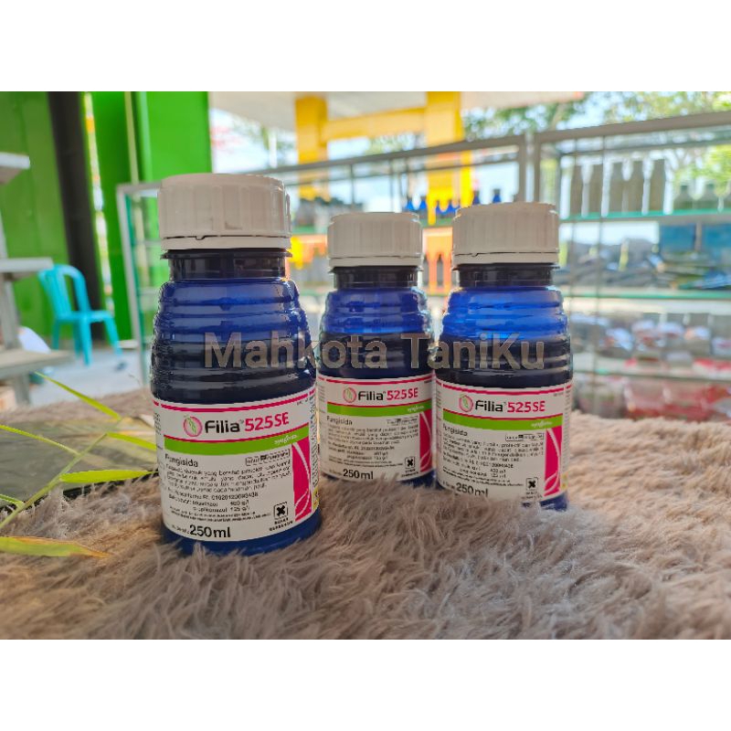 FUNGISIDA FILIA ORIGINAL-OBAT JAMUR TANAMAN PADI-OBAT PENYAKIT BLAST DAN HAWAR DAUN