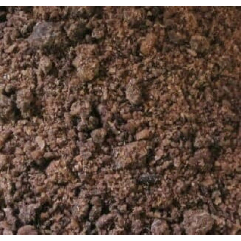 

plik u aceh patarana 100gram