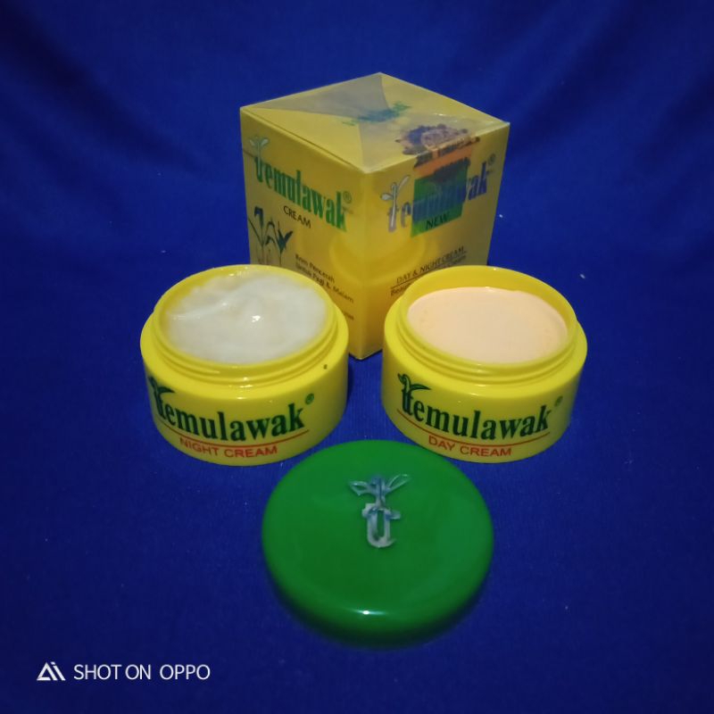 [ ECERAN ] CREAM TEMULAWAK SUSUN ORIGINAL KRIM TEMULAWAK SIANG DAN MALAM