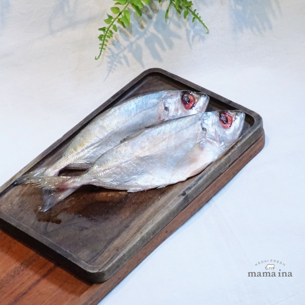 

Ikan Kembung Bentong 500g