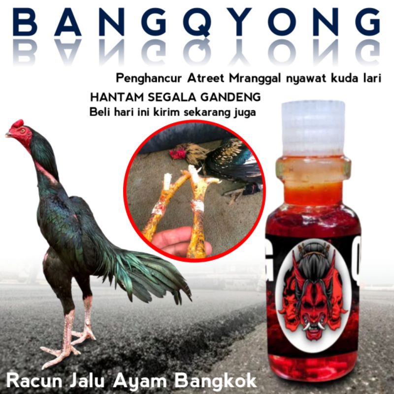 obat kaki ayam bangkok turun urat