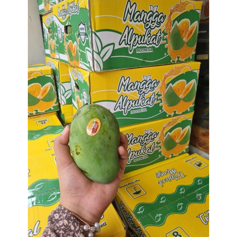 

Mangga Alpukat 1 dus 5kg | Mangga Bangil 1 dus | Mangga Harumanis Super Fresh