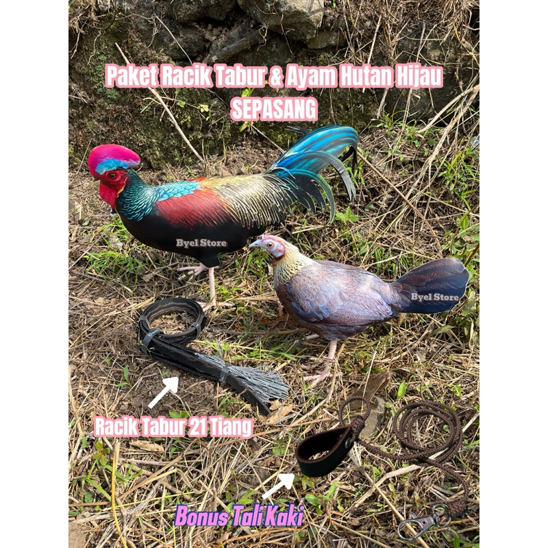 ( BONUS TALI KAKI ) Paket Racik Tabur & Patung Ayam Hutan Sepasang
