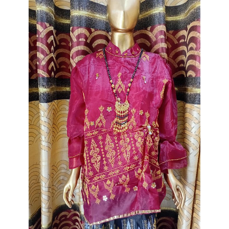 BAJU BODO ATASAN MOTIF PAYET BORDIR ORGANZA