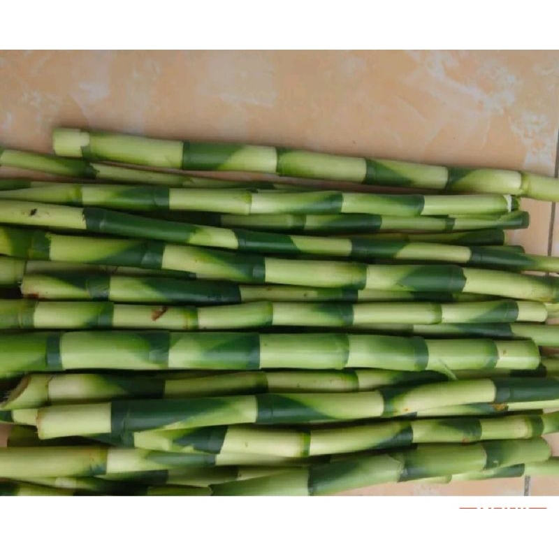 promo batang bambu hoki per 10 batang