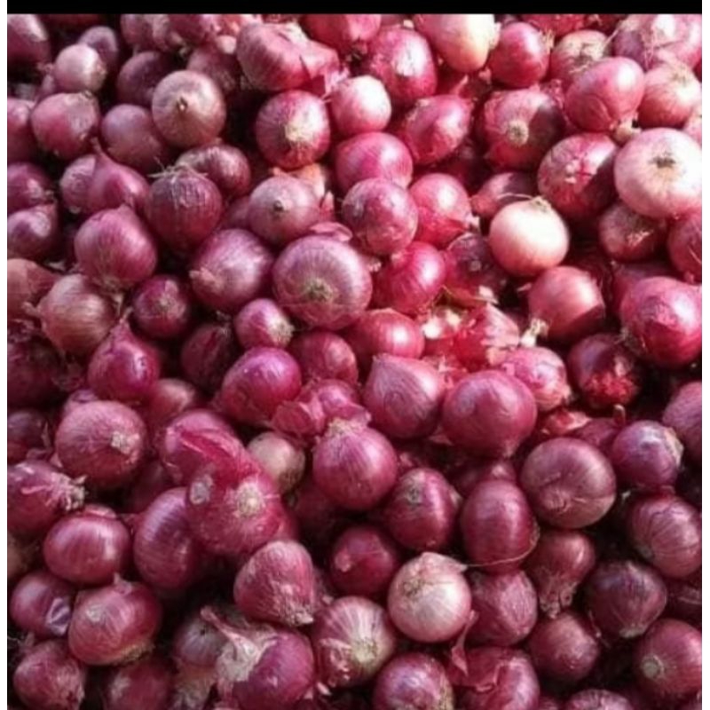 

Bawang merah // 1kg// Berkualitas