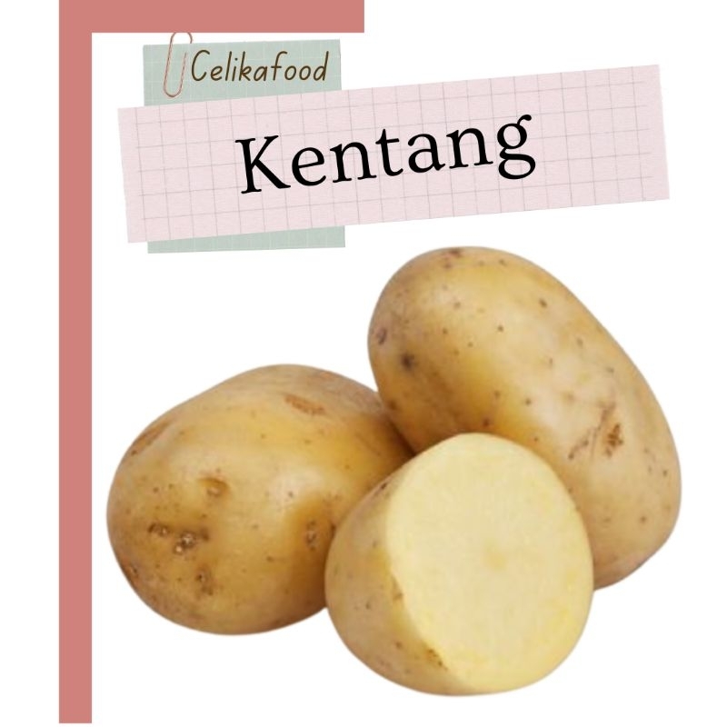 

Kentang Dieng 500 gr potato sayuran fresh vegetable