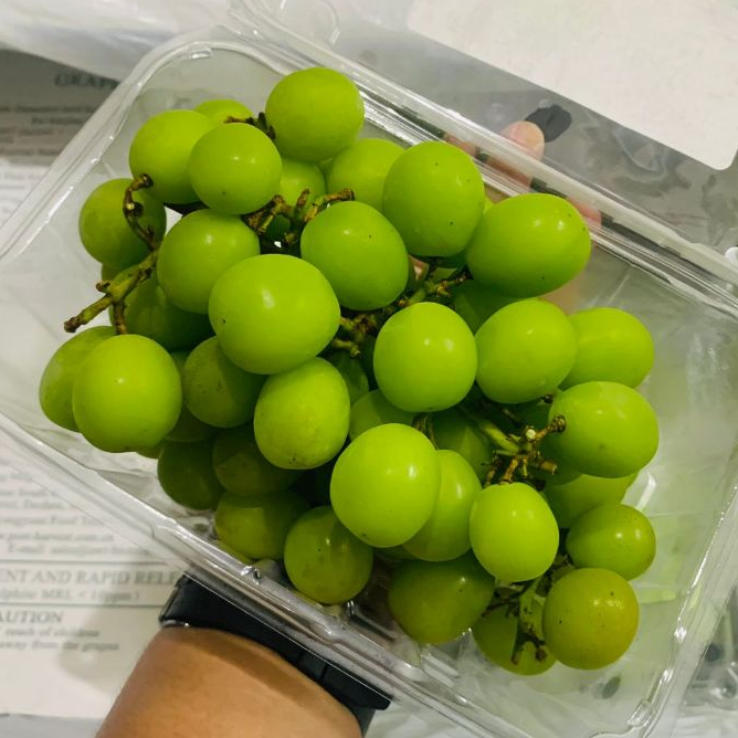 

Anggur shine muscat pack 500g