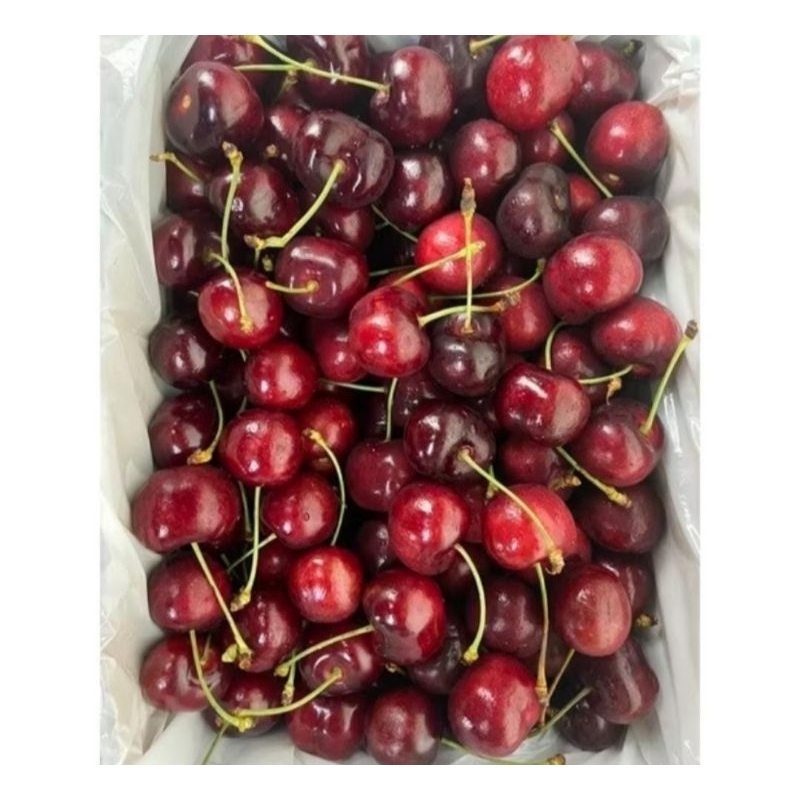 

Cherry Red Australia / Ceri Merah Australia 250 Grm