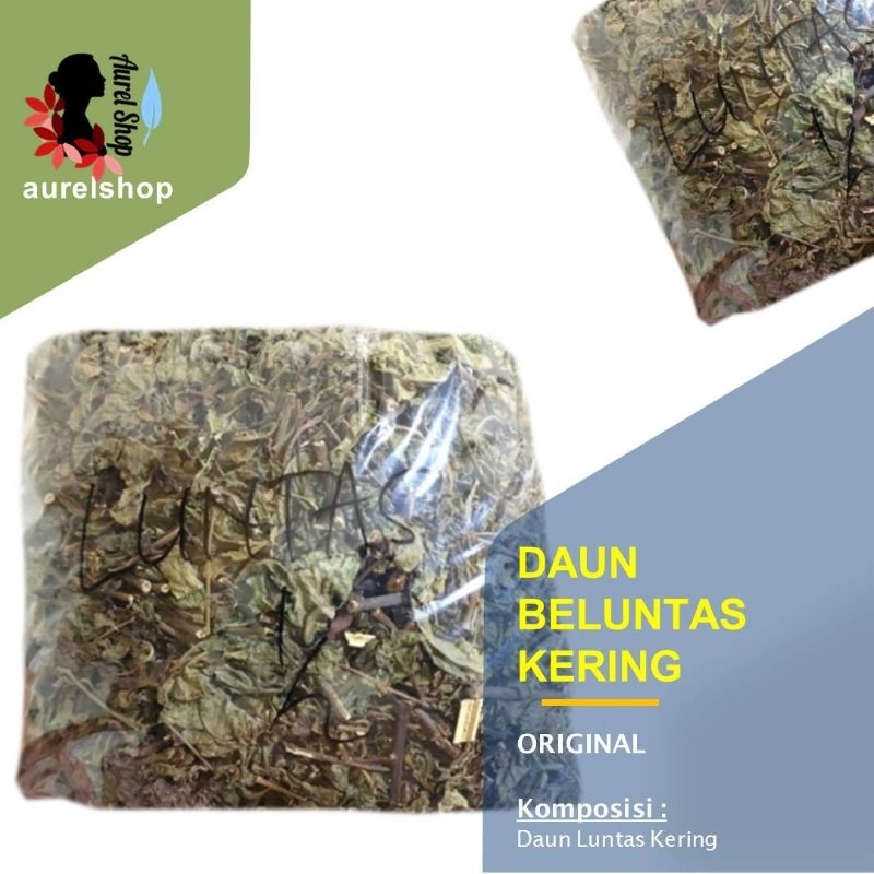 

Daun Beluntas Kering/ Luntas/ Baruntas/ Baluntas/ Pluchea indica