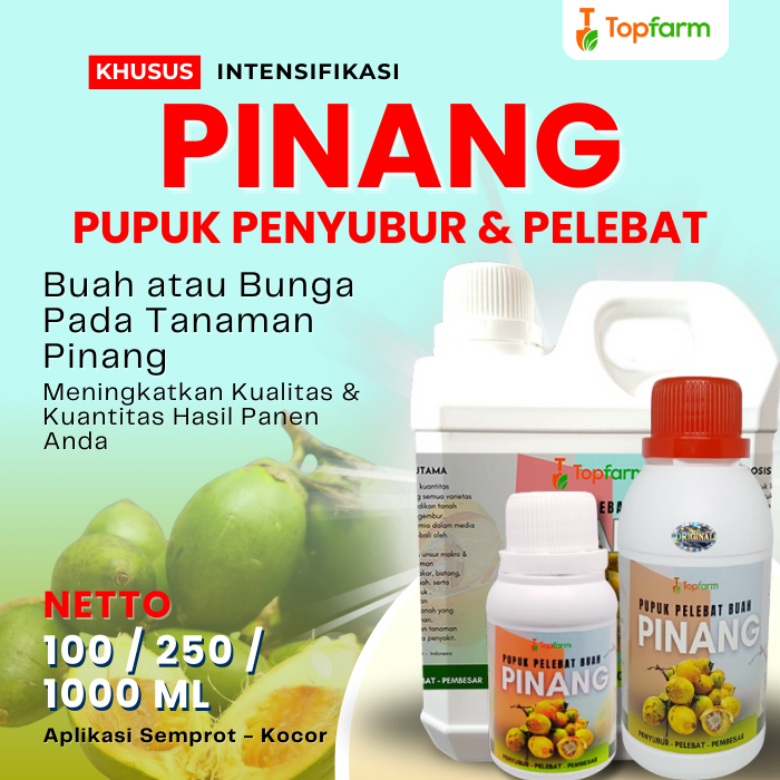 Pupuk Pinang Agar Cepat Berbuah / Pupuk Buah Untuk Pinang / Bubuk Buah Pinang Tua / Pupuk Khusus Bua