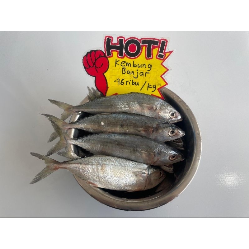 

New seller !!! Kembung banjar 1 kg ikan laut seafood beku Frozen Bekasi instan kurir