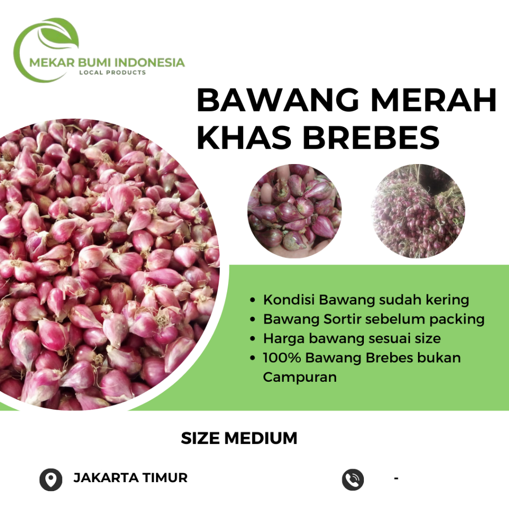 

BAWANG MERAH KHAS BREBES SIZE MEDIUM