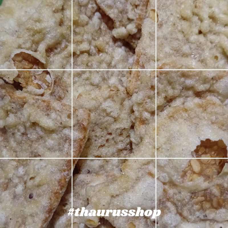 

Keripik / Kripik Tempe Asin / Tempe Pedas / Tempe Sagu 250 Gr Thaurus Shop