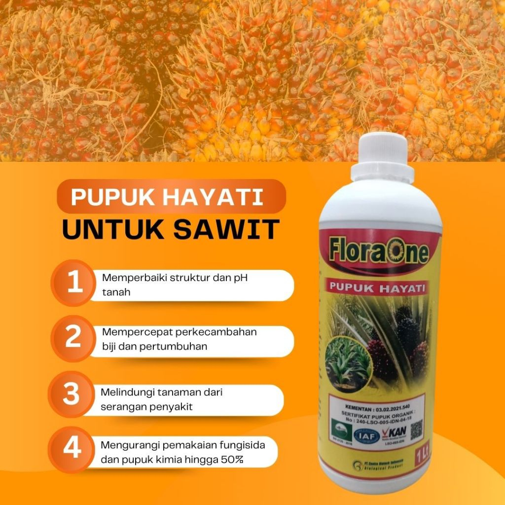 Pupuk Kelapa Sawit Baru Tanam, Obat Karat Daun Sawit, Pupuk Hayati Cair