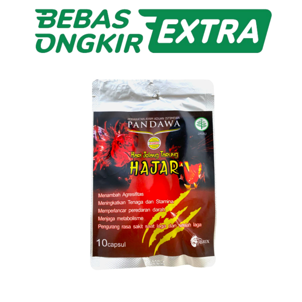 PANDAWA HAJAR , Doping ayam / jamu ayam- hari jelang tarung