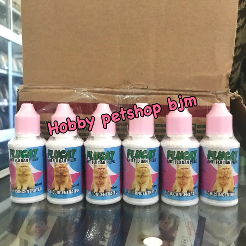 Flucat anti flu dan pilek kucing ispa / flu cat kucing - obat flu pilek kucing ispa obat flu kucing