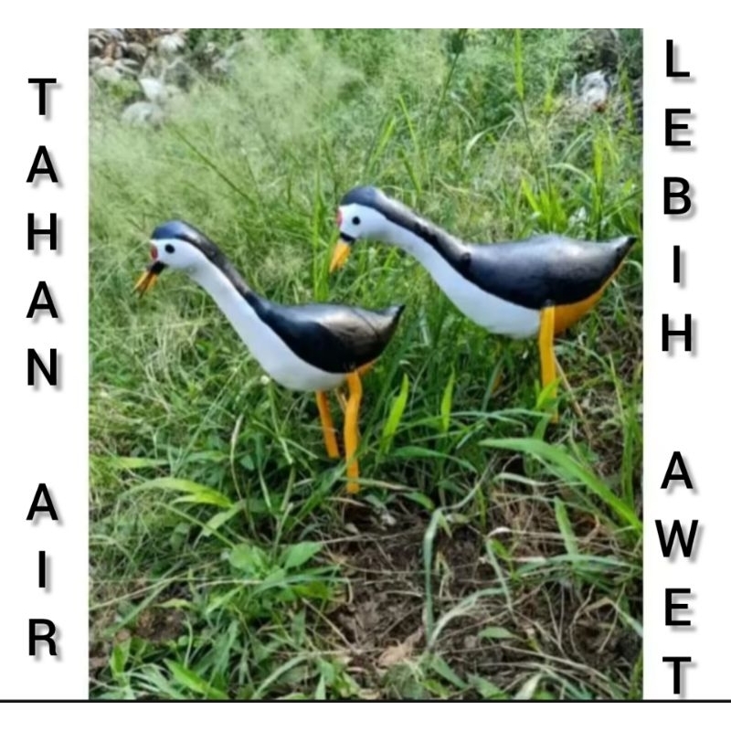 JONTROT BURUNG RUAK RUAK KAREO/PATUNG PEMIKAT KAREO ATAU RUAK RUAK