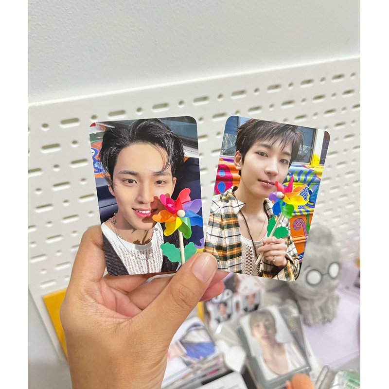 Wonwoo & Mingyu Gongbang