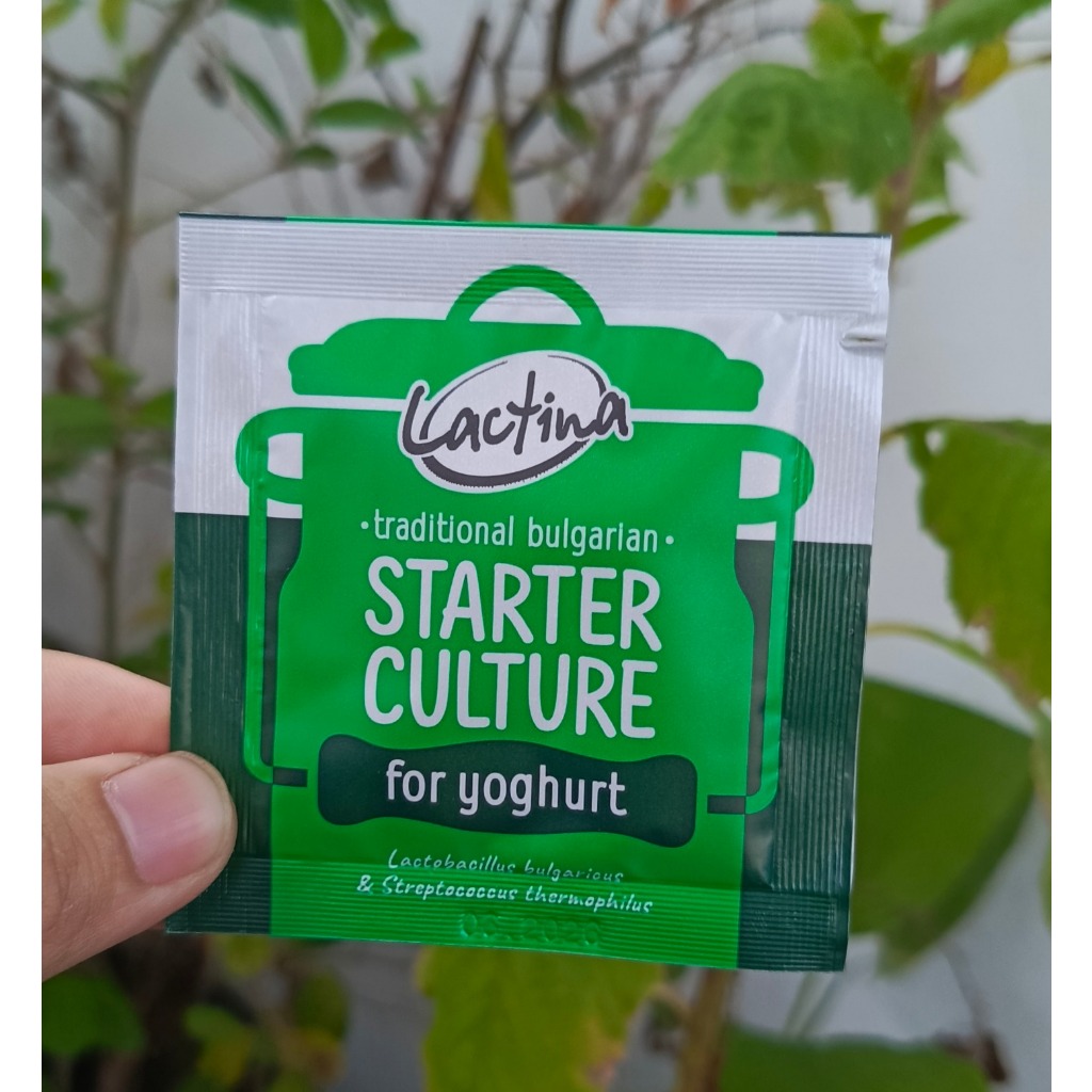 

Bibit yogurt Lactina Original "kental dan padat jika dipadukan dengan lacto b+
