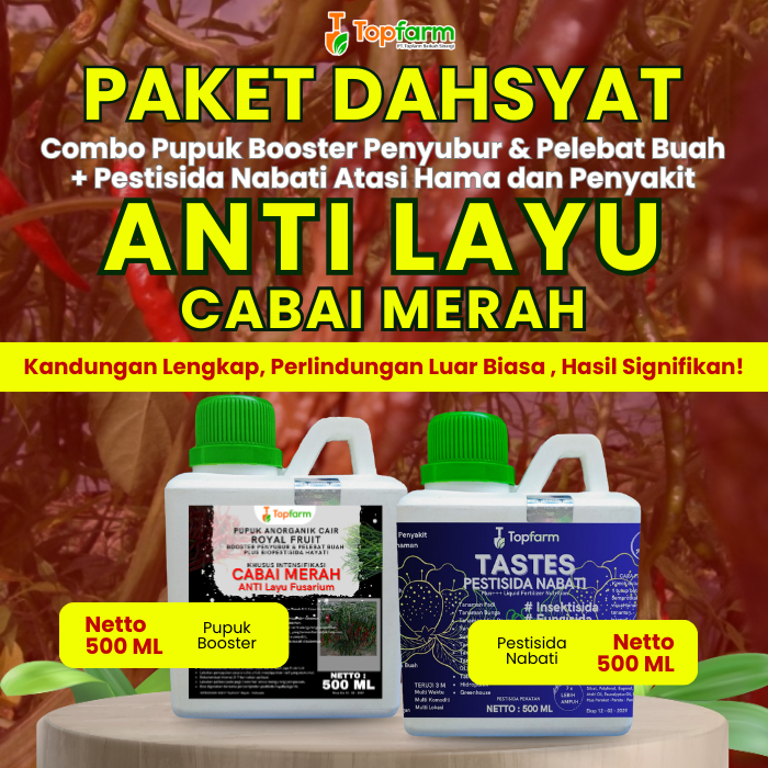Pupuk Pestisida Topfarm / Obat Layu Pusarium Pada Cabe Merah / Obat Layu Pada Tanaman Cabe Merah  / 