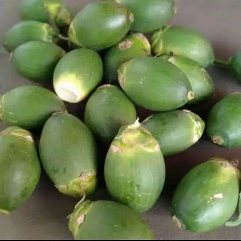 

Buah finang muda fres/jambe 1kg