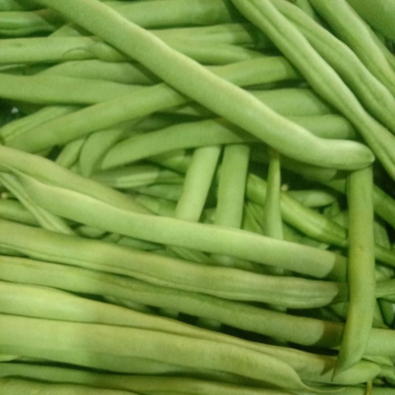 

buncis per 250 gr