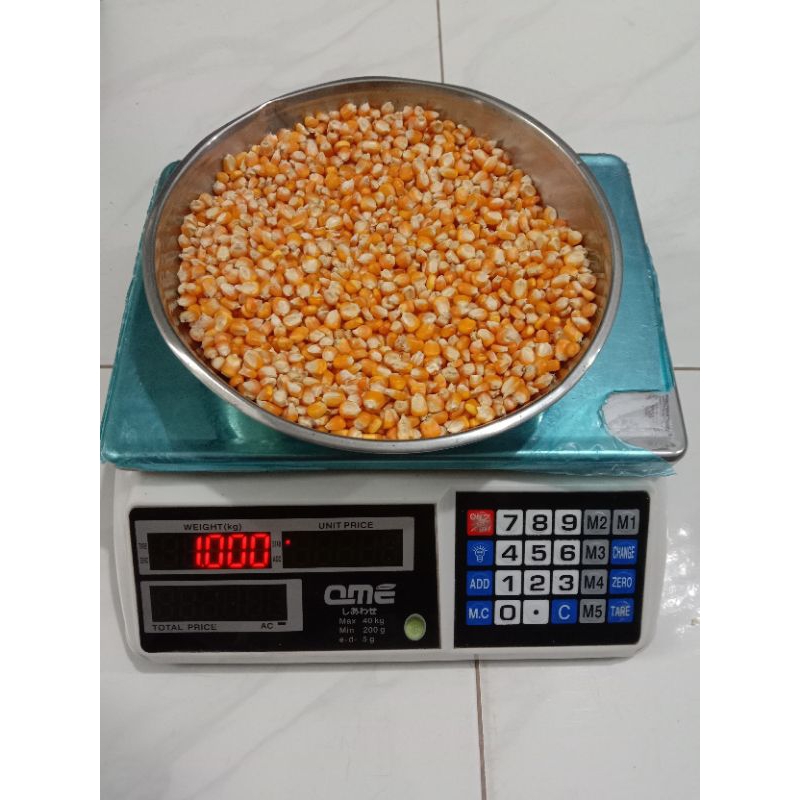 jagung pakan ternak kualitas terbaik kadar air 13-15 %