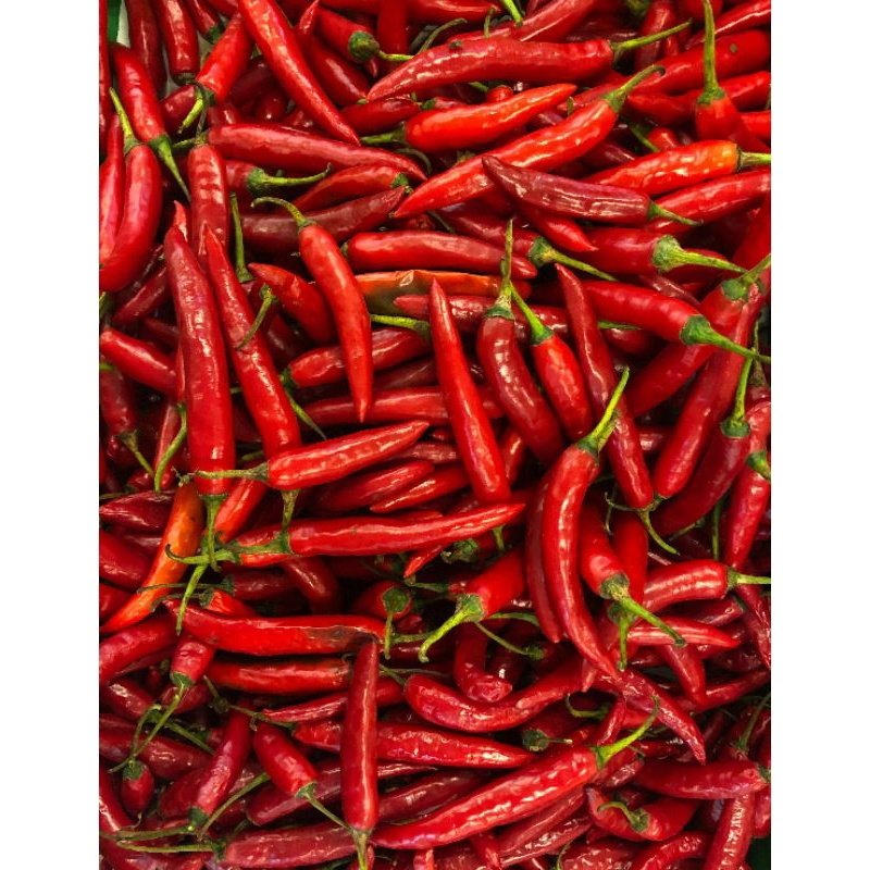 

cabai cabe merah besar segar 1kg 500gr 250gr 100gr