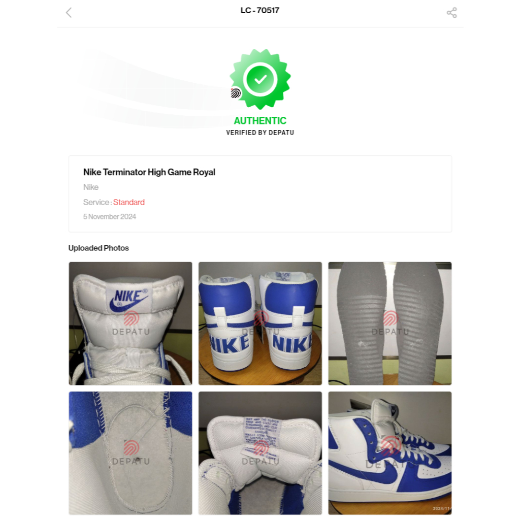 Nike Terminator High Game Royal