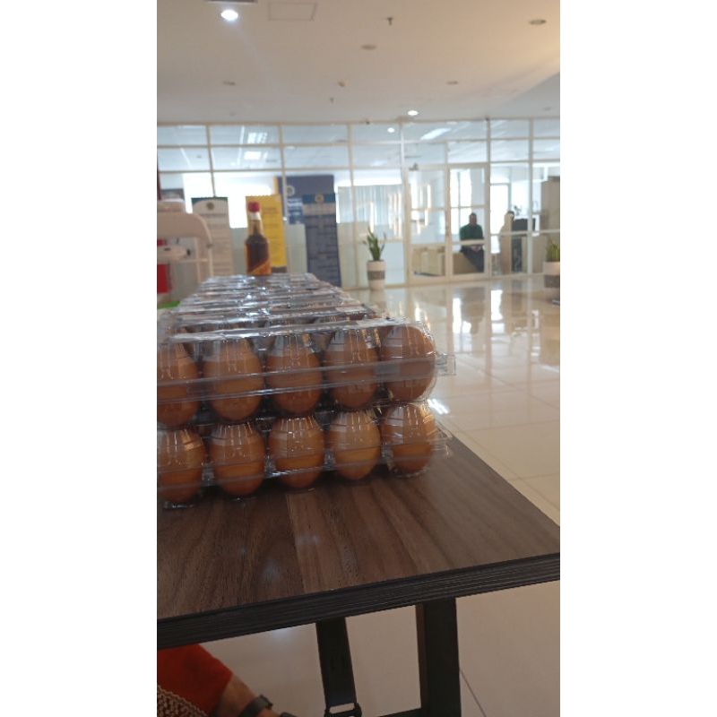 

TELUR OMEGA SEGAR JOGJA