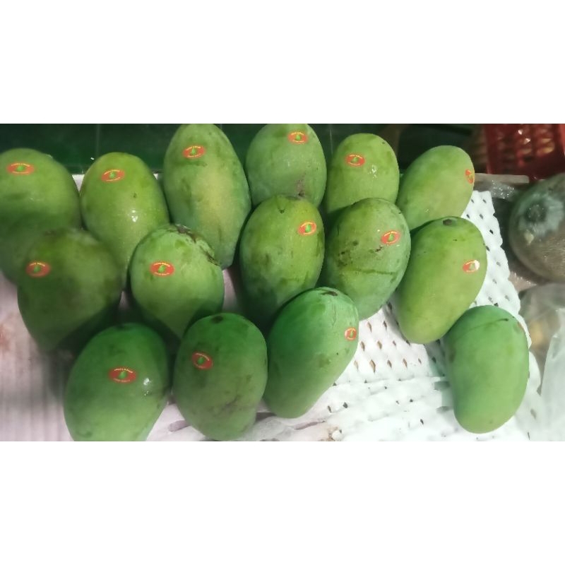 

Mangga Alpukat 10kg