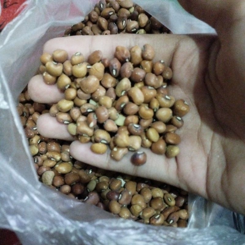 

Kacang Beras 1/4 7ribu