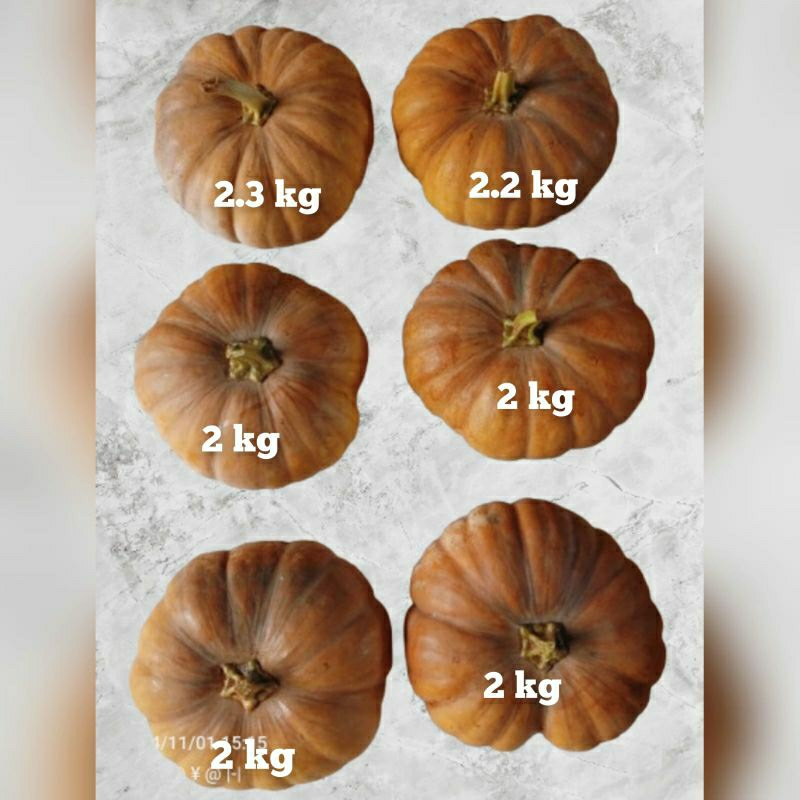 

Labu kuning/Waluh Manis dan Pulen 2 kg