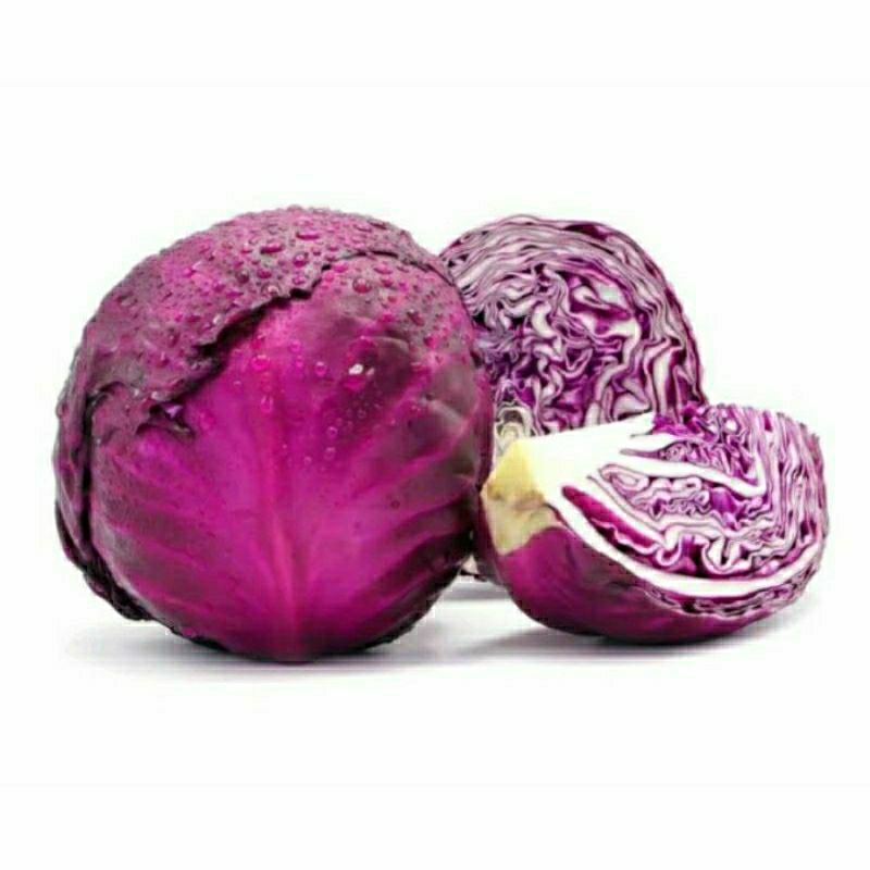 

Kol Ungu 1 Buah Fresh