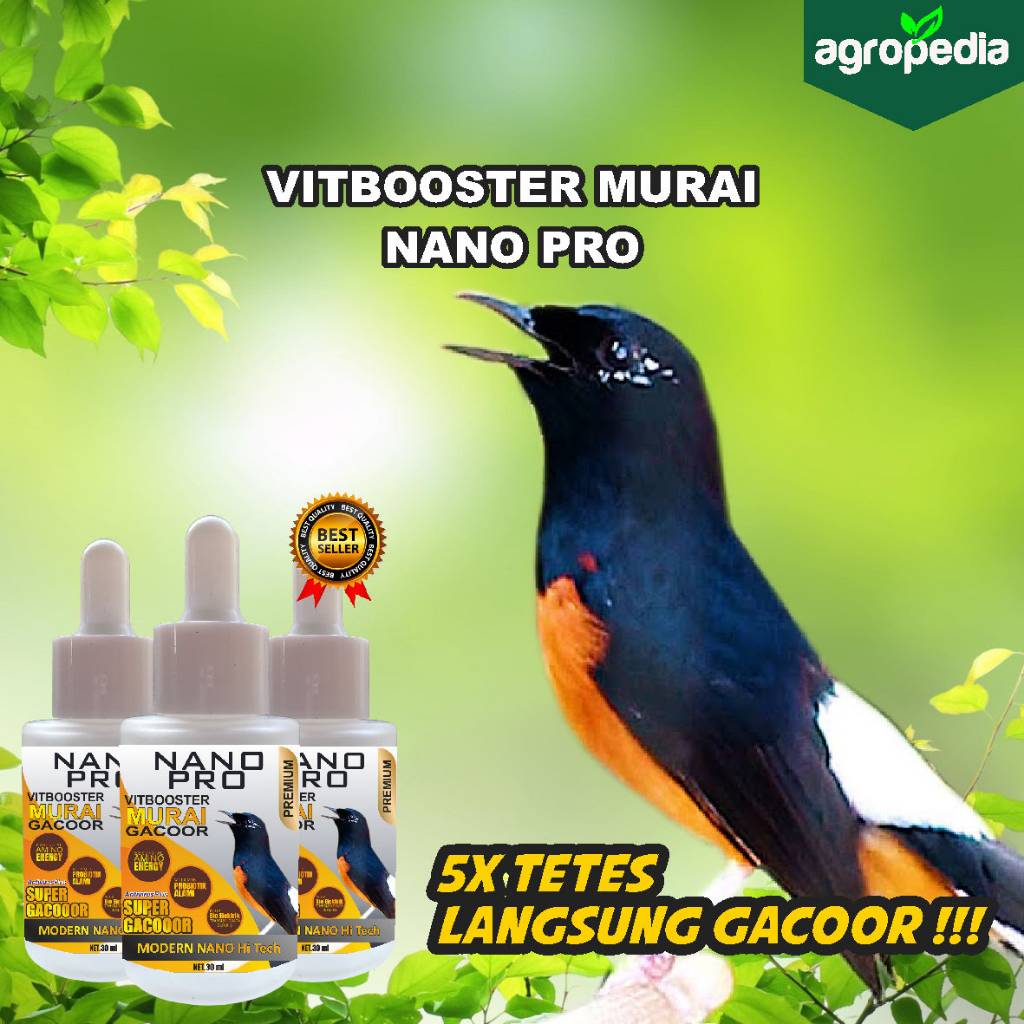 Vitamin Gacor Murai Batu / Doping Murai Batu Lomba / Vitamin Booster Murai Batu / Lomba Super Gacor 