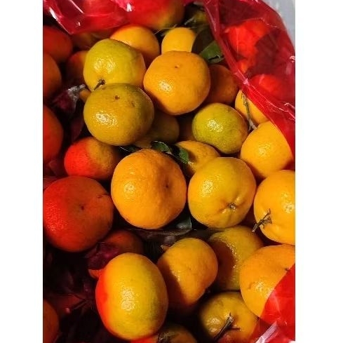 

Aneka Buah