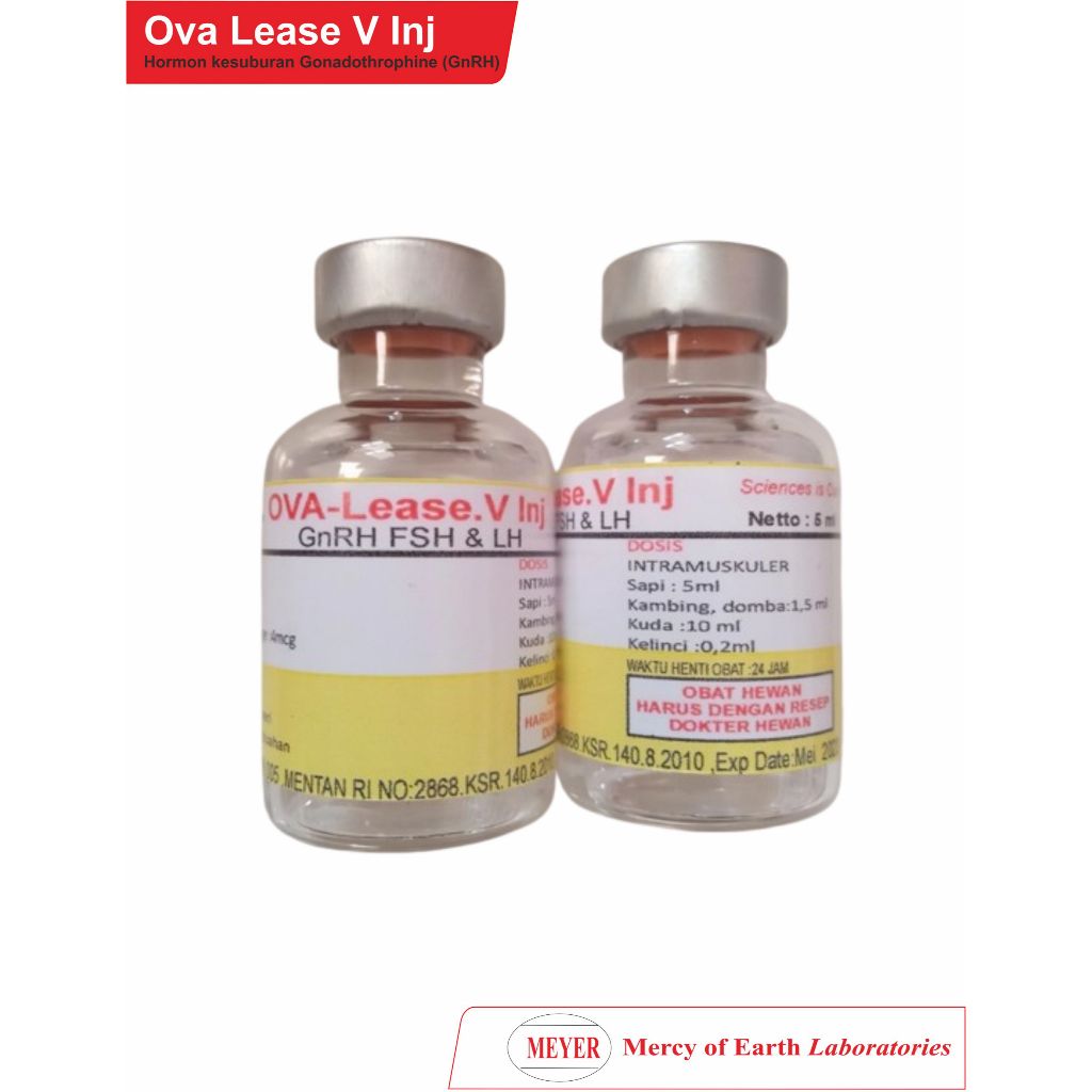 OVA LEASE V INJ MEYER 5 ML - HORMON KESUBURAN GONADOTHROPHINE (GNRH)