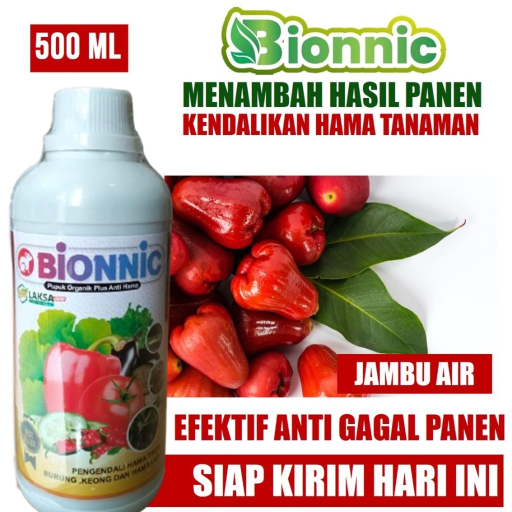 (PUPUK JAMBU AIR) Bionnic Pelebat Jambu Air Tanpa Rontok, Merangsang Pertumbuhan Jambu Air Anti Hama