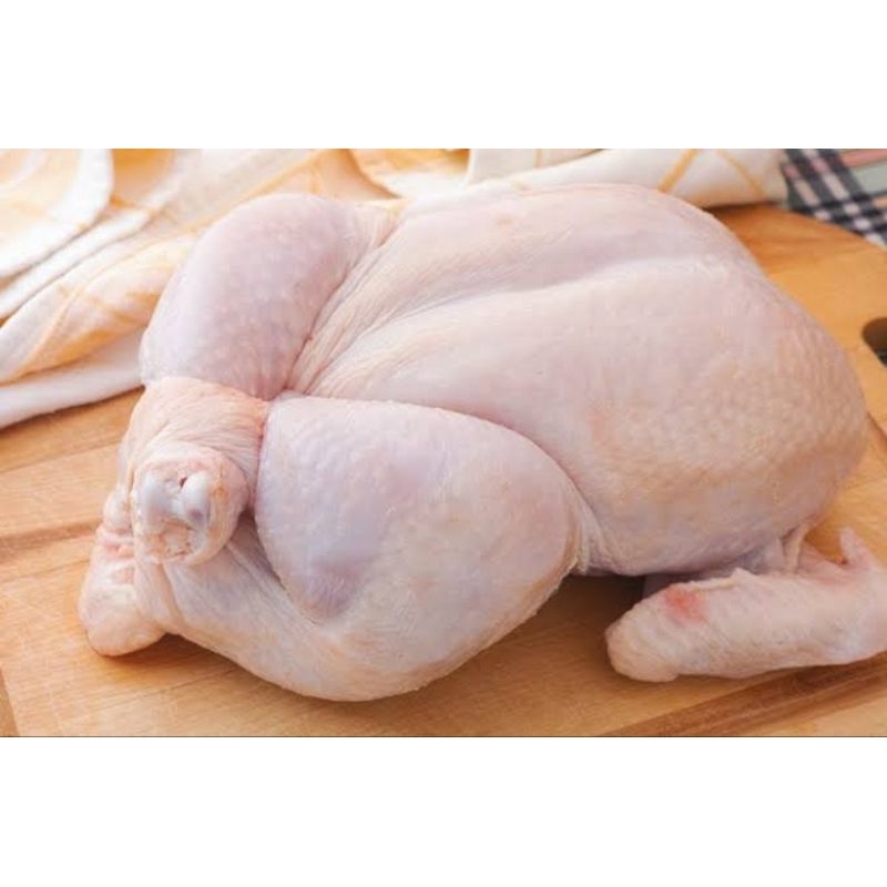

Ayam Broiler/Karkas Fresh 1,5kg