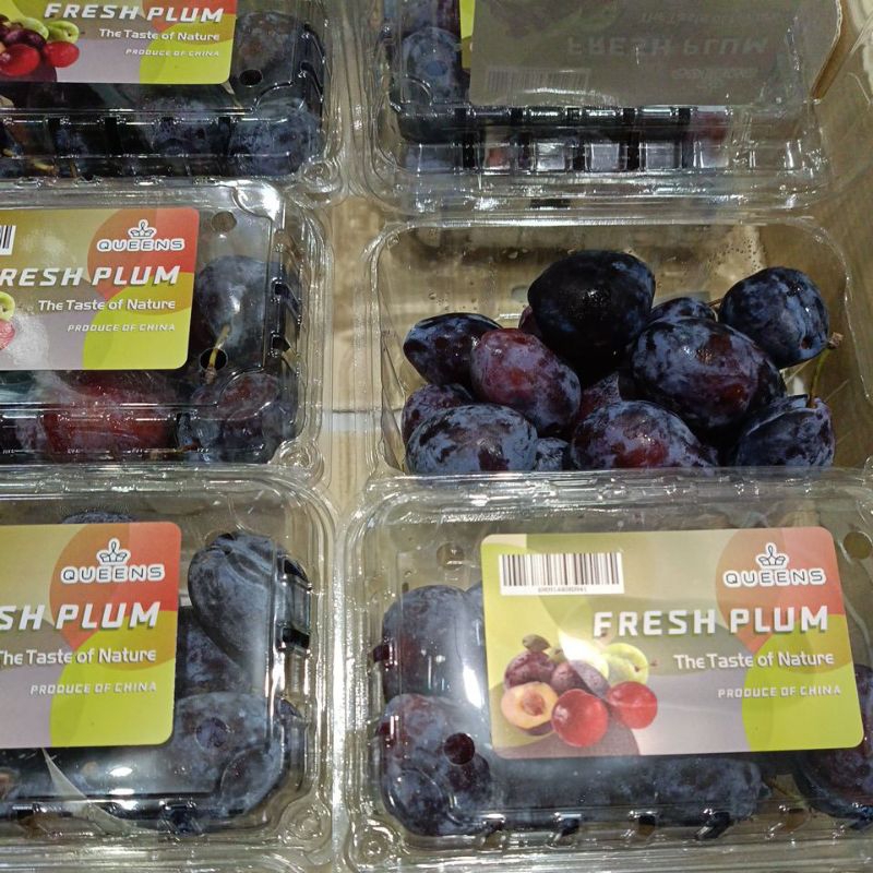 

Buah Fresh Plum pack/500 gr