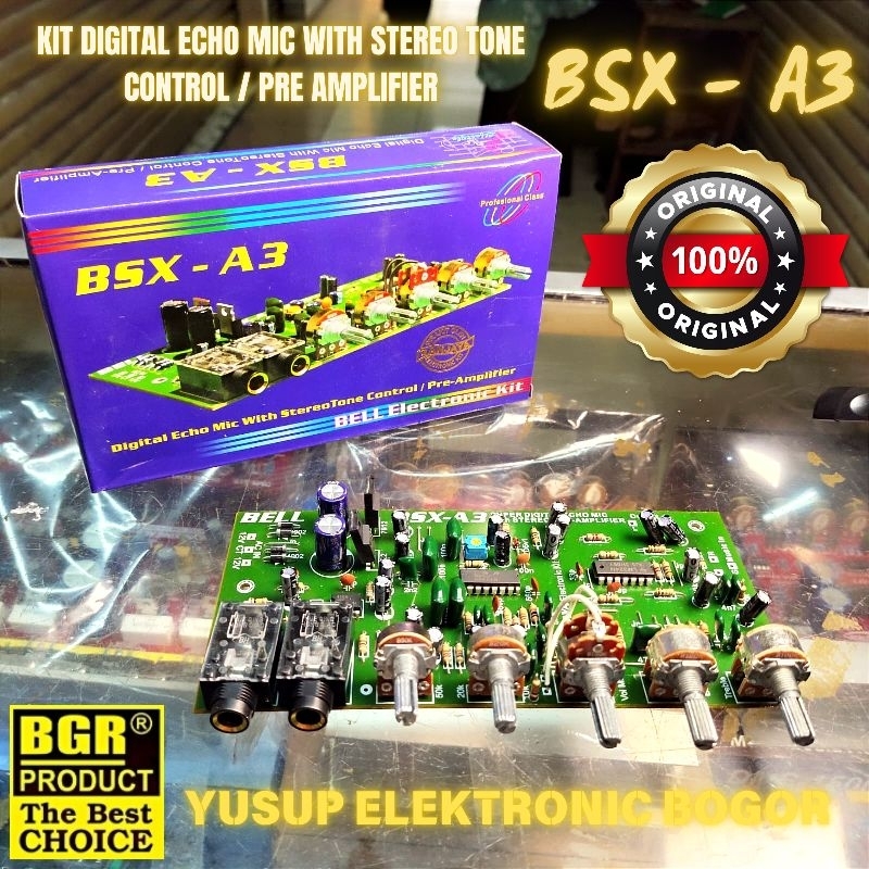 KIT DIGITAL ECHO MIC WITH STEREO TONE CONTROL / PRE AMPLIFIER BSX - A3 BELL BGR