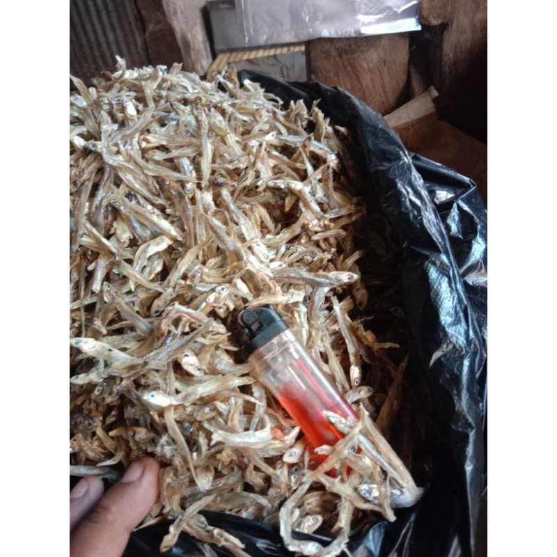 

ikan teri halus kemasan 1 kg