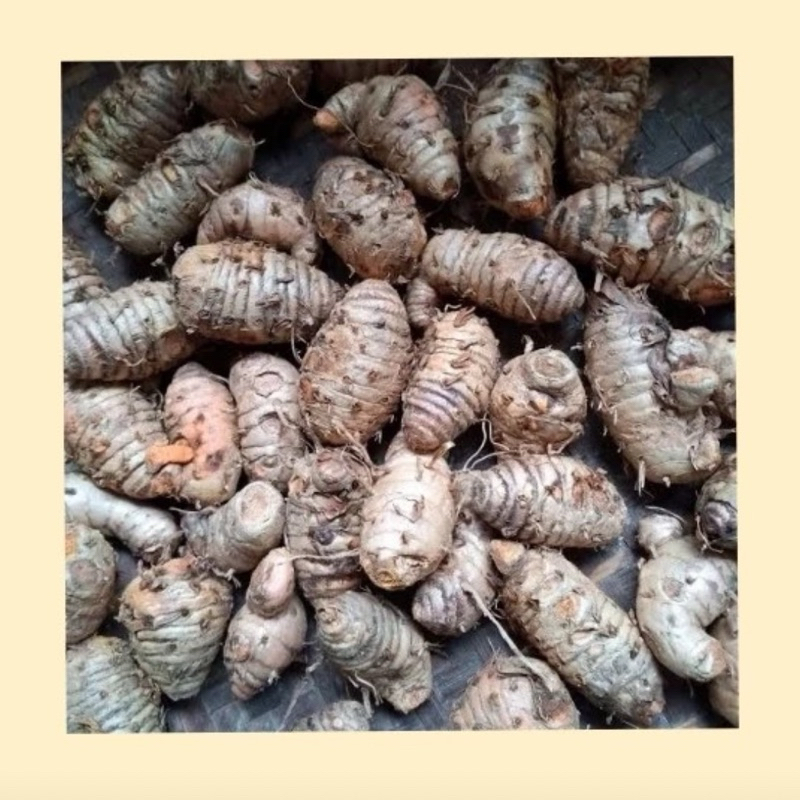 

Biang kunyit / rempah biang kunyit / jamu