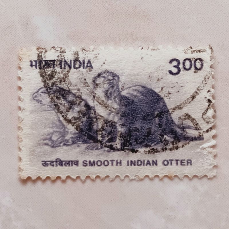 

(AD) Perangko India 2000 Wildlife Definitives - Smooth-coated Otter (Lutrogale perspicillata) 3 rupee Used