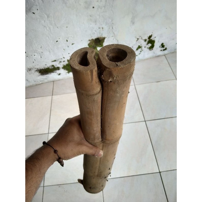 BAMBU LANGKA CABANG DUA,BAMBU DAMPIT,CABANG2 / UNIK/ASLI